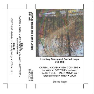 VA - Still Will - LowKey Beats and Some Loops (2021) (MP3)
