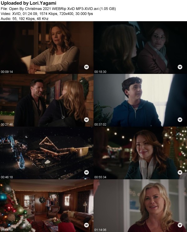 Open By Christmas (2021) WEBRip XviD MP3-XVID