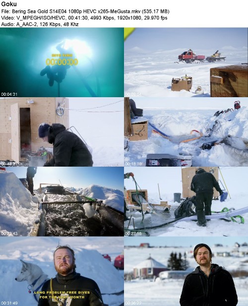 Bering Sea Gold S14E04 1080p HEVC x265-MeGusta