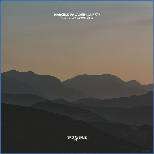 VA - Marcelo Paladini - Squeeze (2021) (MP3)