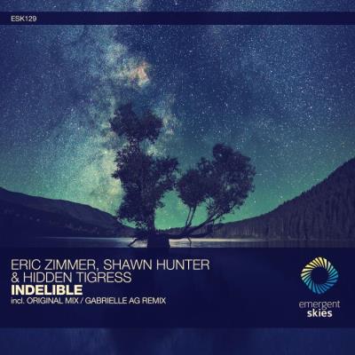 VA - Eric Zimmer Vs. Hidden Tigress And Shawn Hunter - Indelible (2021) (MP3)