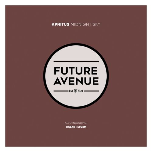 VA | APNITUS - Midnight Sky (2021) MP3