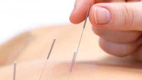 Udemy - Dry Needling therapy for trigger points