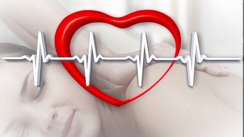 Udemy - Medical Massage  A Course to Assess, Test and Treat