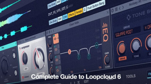 ProducerTech - Complete Guide to Loopcloud 6