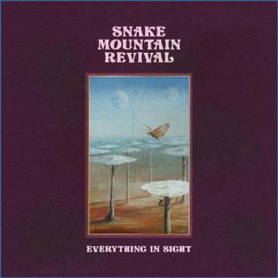 VA - Snake Mountain Revival - Everything In Sight (2021) (MP3)
