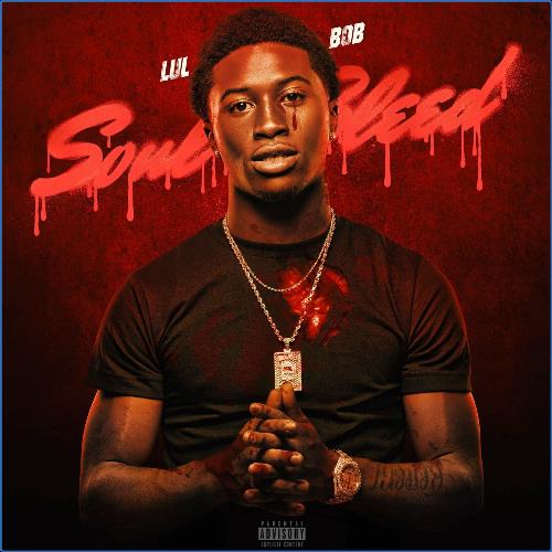 VA | Lul Bob - Soul Bleed (2021) MP3