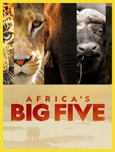 Большая пятерка Африки / Africa's Big Five (2020) HDTVRip 720p