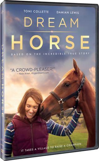 Dream Horse (2020) 1080p 10bit BluRay 6CH x265 HEVC-PSA