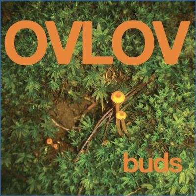 VA - Ovlov - Buds (2021) (MP3)