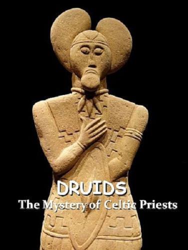 Друиды. Тайна кельтских жрецов / Druids. The Mystery of Celtic Priests (2020) DVB