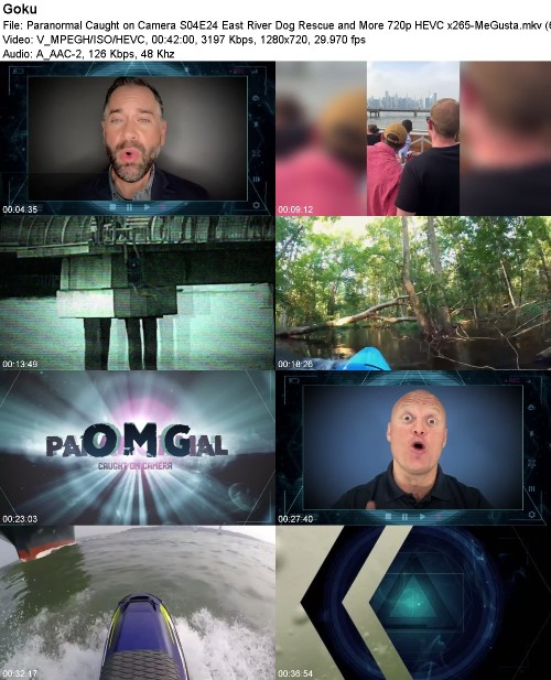 Paranormal Caught on Camera S04E24 East River Dog Rescue and More 720p HEVC x265-MeGusta Paranormal Caught on Camera S04E24 East River Dog Rescue and More 720p HEVC x265-MeGusta