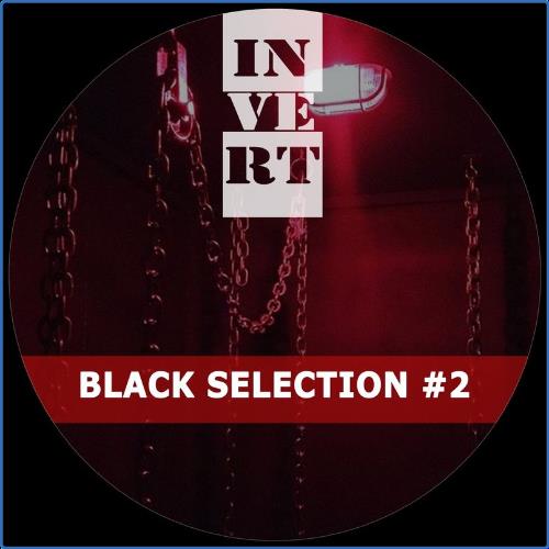 VA | Black Selection, Vol. 2 (2021) MP3