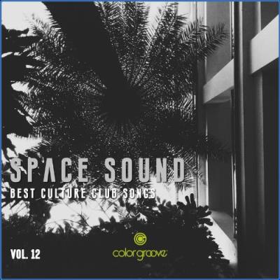 VA - Space Sound, Vol. 12 (Best Culture Club Songs) (2021) (MP3)