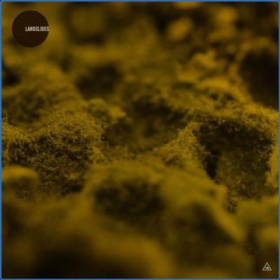 VA - Quadriga Recordings - Landslides (2021) (MP3)