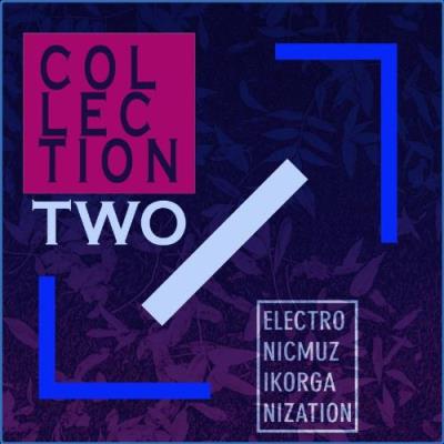 VA - Electronic Muzik Organization - COLLECTION TWO (2021) (MP3)