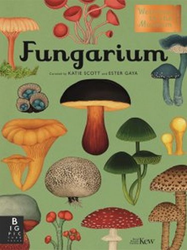 Fungarium by Katie Scott