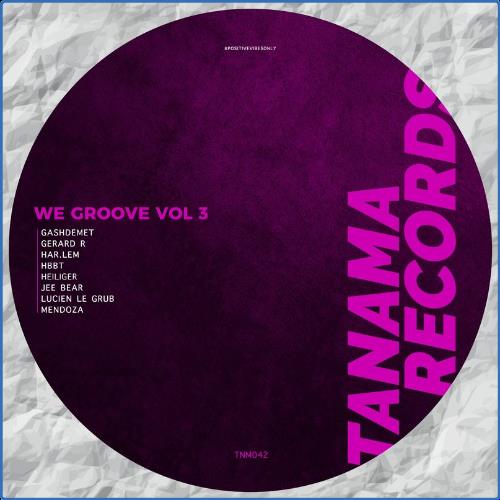 VA - We Groove, Vol. 3 (2021) (MP3)