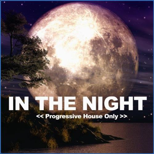 VA - In the Night (Progressive House Only) (2021) (MP3)