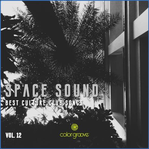 VA | Space Sound, Vol. 12 (Best Culture Club Songs) (2021) MP3