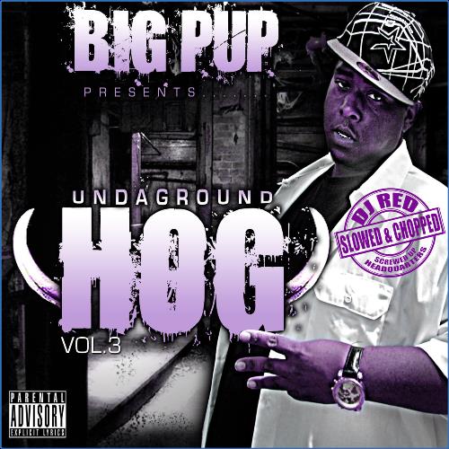 VA | Big Pup & DJ Red - Undaground Hog, Vol. 3 (Slowed & Chopped Versions) (2021) MP3