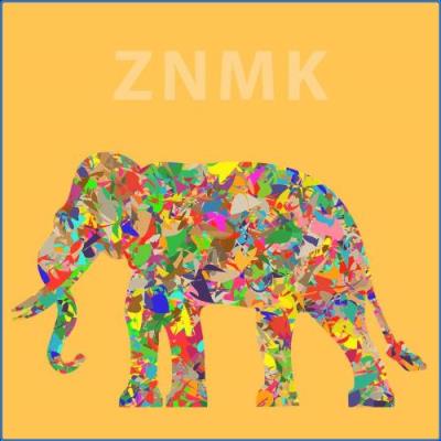 VA - ZNMK - Deep History (2021) (MP3)