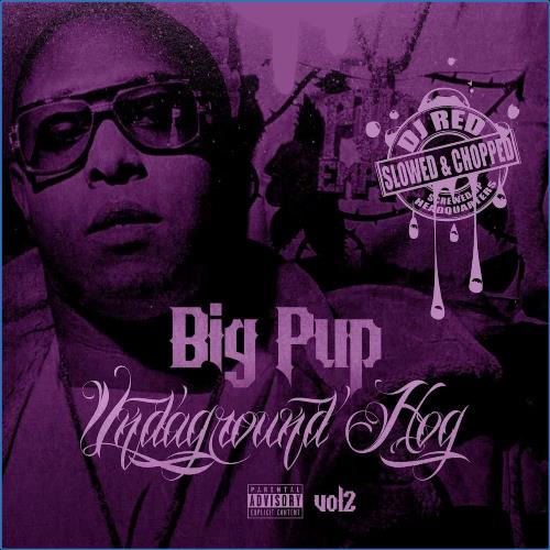 VA | Big Pup & DJ Red - Undaground Hog, Vol. 2 (Slowed & Chopped Versions) (2021) MP3