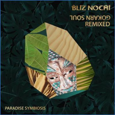 VA - Bliz Nochi - Gokarn Soul Remixed (2021) (MP3)