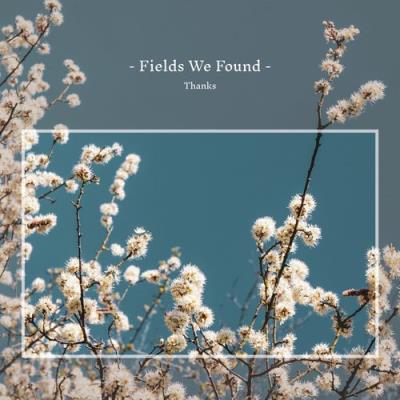VA - Fields We Found - Thanks (2021) (MP3)