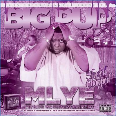 VA - Big Pup & DJ Red - MLYE - My Life Yo Entertainment (Slowed and Chopped Versions) (2021) (MP3)