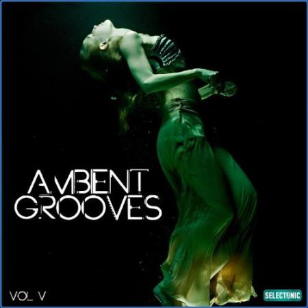 Ambient Grooves, Vol. 5 (2021)