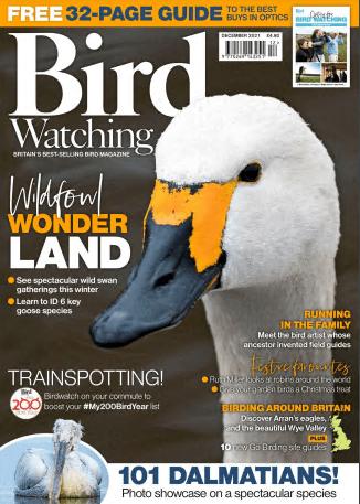 Bird Watching UK   December 2021