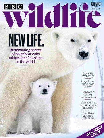 BBC Wildlife   December 2021