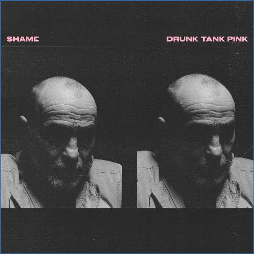 VA - Shame - Drunk Tank Pink (Deluxe Edition) (2021) (MP3)