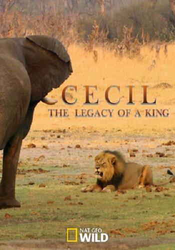 Сесил: Наследие короля / Cecil: The Legacy of a King (2020) WEBRip 1080p