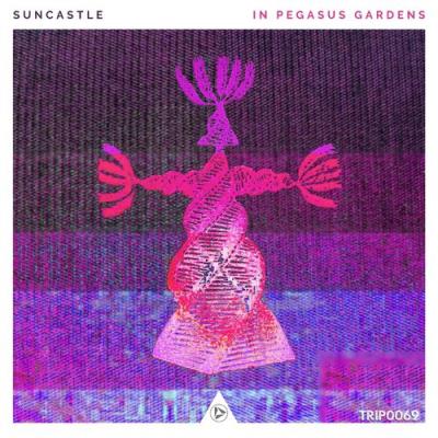 VA - Suncastle - In Pegasus Gardens (2021) (MP3)
