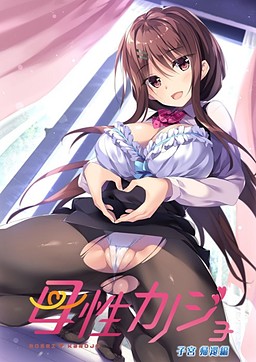 Bosei Kanojo Shikyuu Kikan Hen by Akabei Soft2 Porn Game