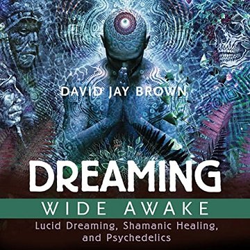 Dreaming Wide Awake: Lucid Dreaming, Shamanic Healing, and Psychedelics [Audiobook]