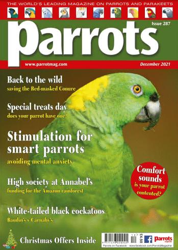 Parrots   December 2021