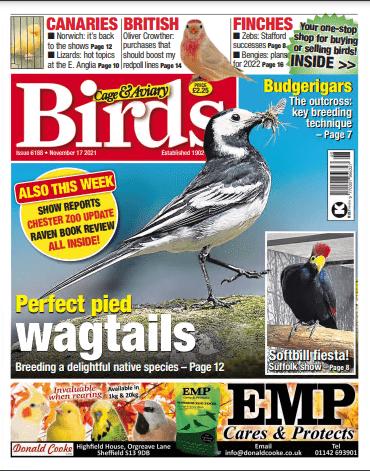 Cage & Aviary Birds   Issue 6188, November 17, 2021