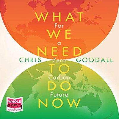 What We Need to Do Now: For a Zero Carbon Future (Audiobook)