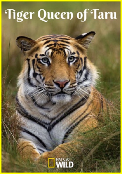    / Tiger Queen of Taru (2020) WEBRip 1080p