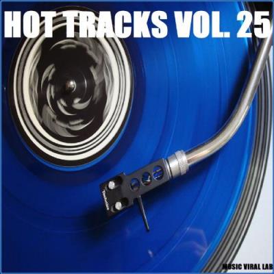 VA - MUSIC VIRAL LAB - Hot Tracks Vol. 25 (2021) (MP3)