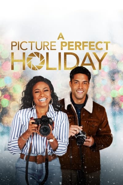 A Picture Perfect Holiday (2021) WEBRip x264-ION10