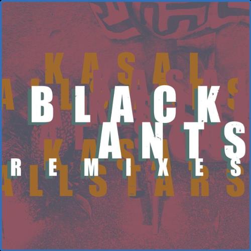 VA - Kasai Allstars - Black Ants Remixes EP (2021) (MP3)