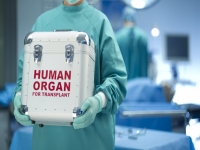 Проведення дев'ять трансплантацій за дві доби українськими хірургами: деталі