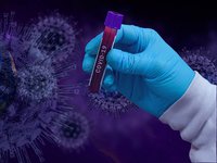 Антитела к иным коронавирусам поддерживают иммунитет к SARS-CoV-2 - исследование