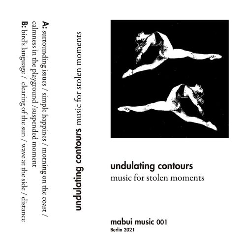VA - Undulating Contours - Music For Stolen Moments (2021) (MP3)