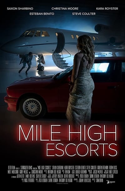 Mile High Escorts (2020) 1080p WEBRip x264-RARBG