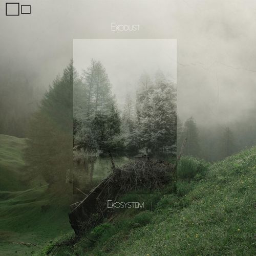 VA | Ekodust - Ekosystem (2021) MP3